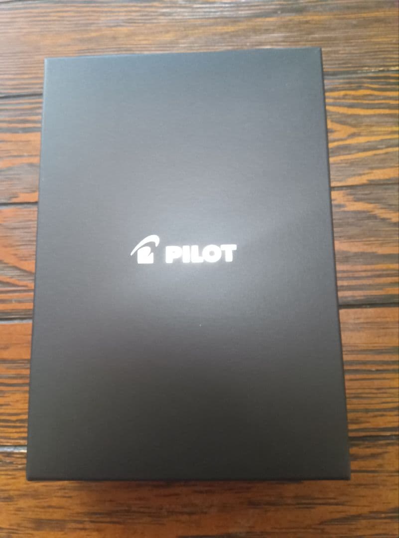 PILOT 木目調 万年筆 Bペン先 ケース付