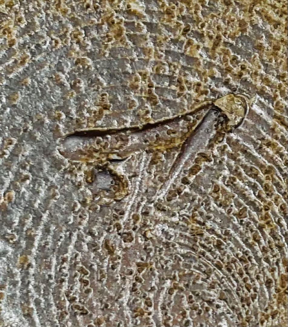 【６７】◉人間国宝・藤原雄先生　藤原啓先生の長男　備前焼徳利　共箱◉