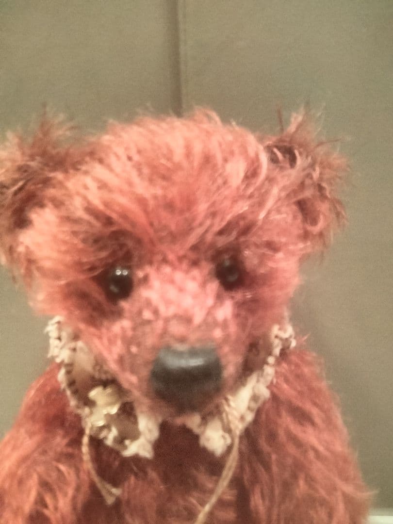 sharon barron teddy bear アメリカ有名作シャロンバロン