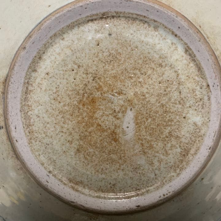 安南　染付　呉須魚紋皿 飾皿 青華 絵皿 古玩 唐物 中国 古美術 時代物