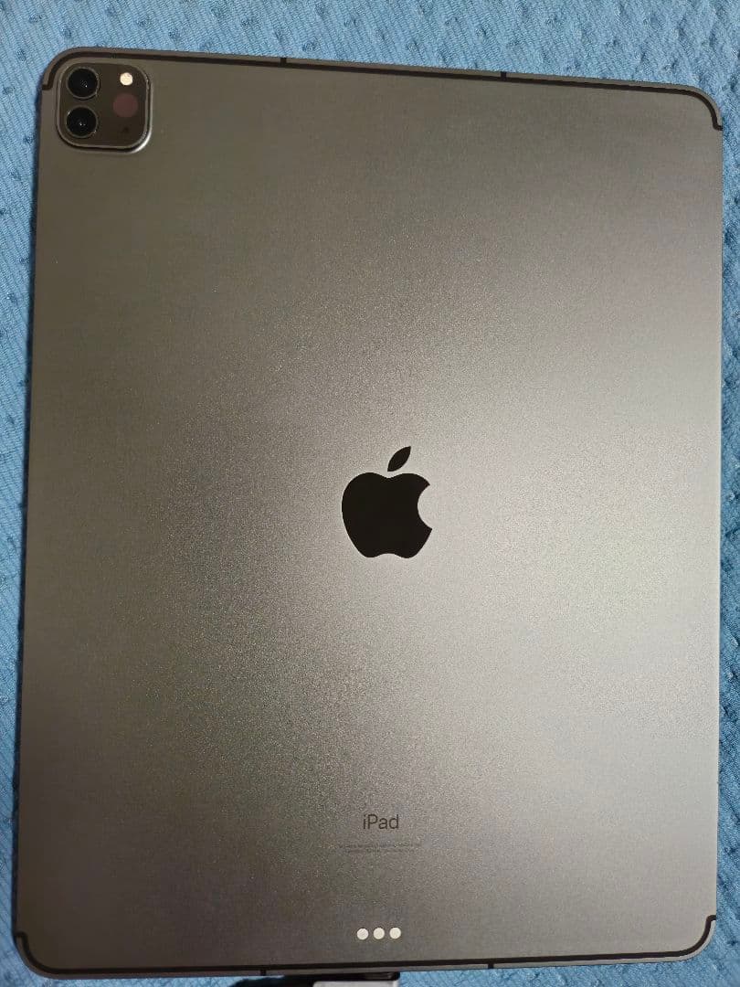 iPad Pro 第５世代 12.9 256GB Cellular　おまけ付き