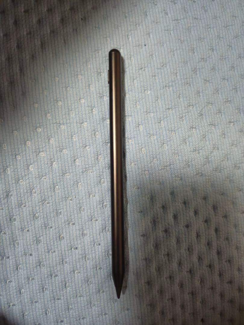 iPad Pro 第５世代 12.9 256GB Cellular　おまけ付き