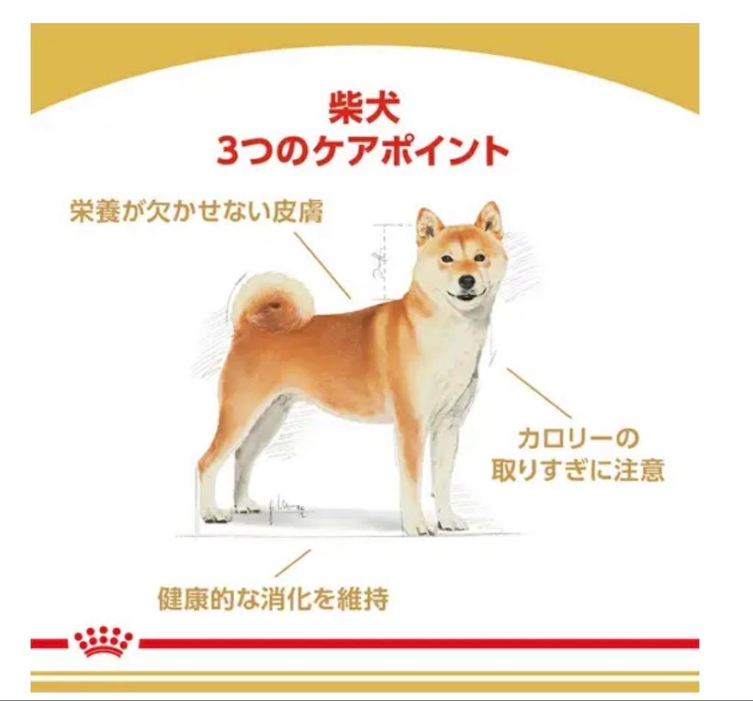 ロイヤルカナン　柴犬成犬用16キロ