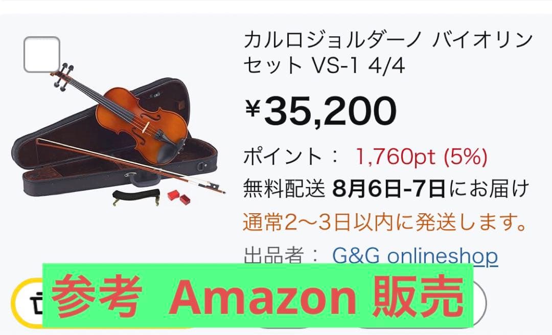 【新品】バイオリン CARLO GIORDANO/VS-1 (4/4サイズ)