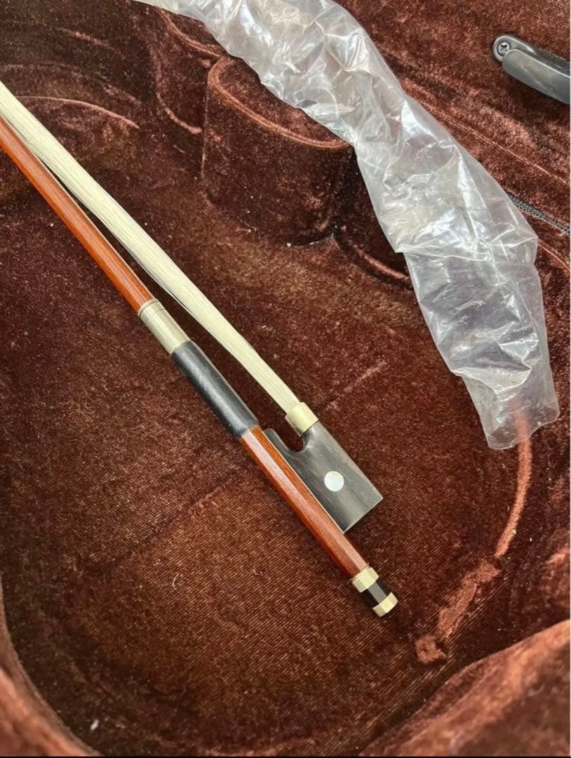 【新品】バイオリン CARLO GIORDANO/VS-1 (4/4サイズ)