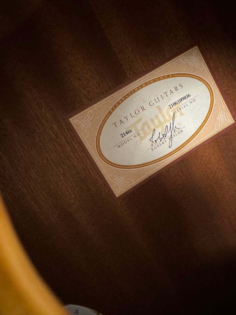 Taylor（テイラー）214ce KOAエレアコ アコースティックギター