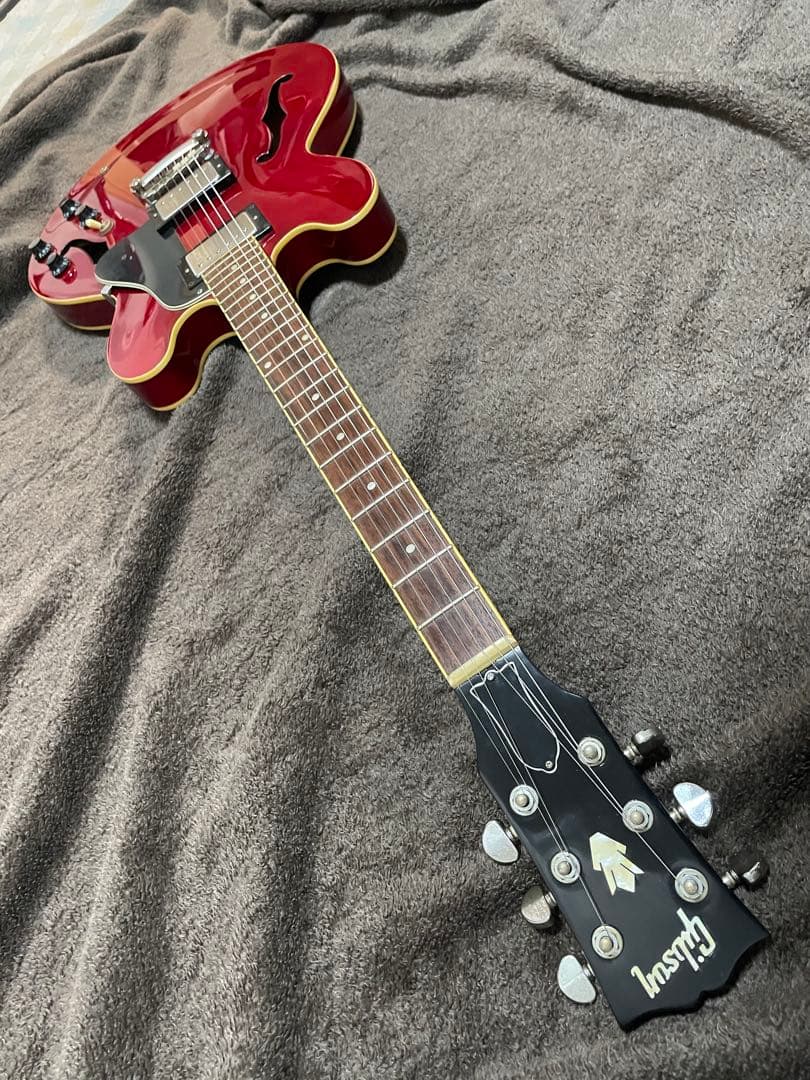 セミアコ 詳細不明