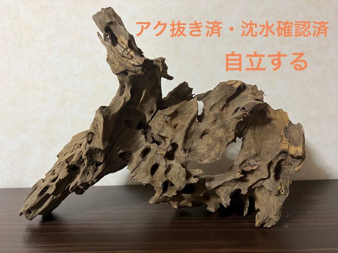 XM-198 流木　マシンガンウッド　アクアリウム　ブランチウッド　沈水確認済