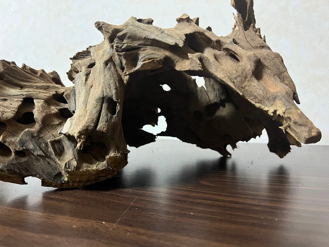 XM-198 流木　マシンガンウッド　アクアリウム　ブランチウッド　沈水確認済