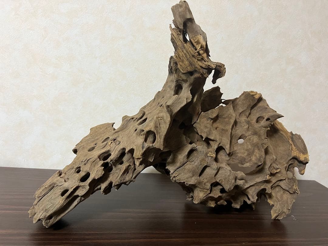 XM-198 流木　マシンガンウッド　アクアリウム　ブランチウッド　沈水確認済