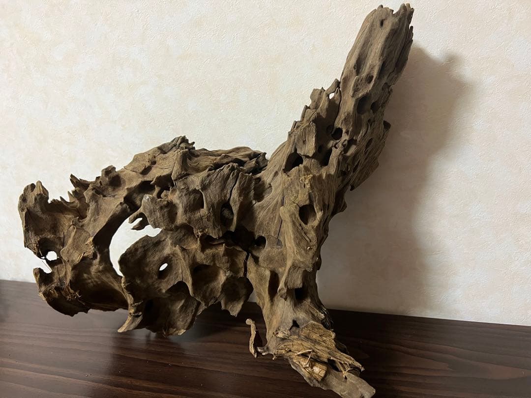 XM-198 流木　マシンガンウッド　アクアリウム　ブランチウッド　沈水確認済