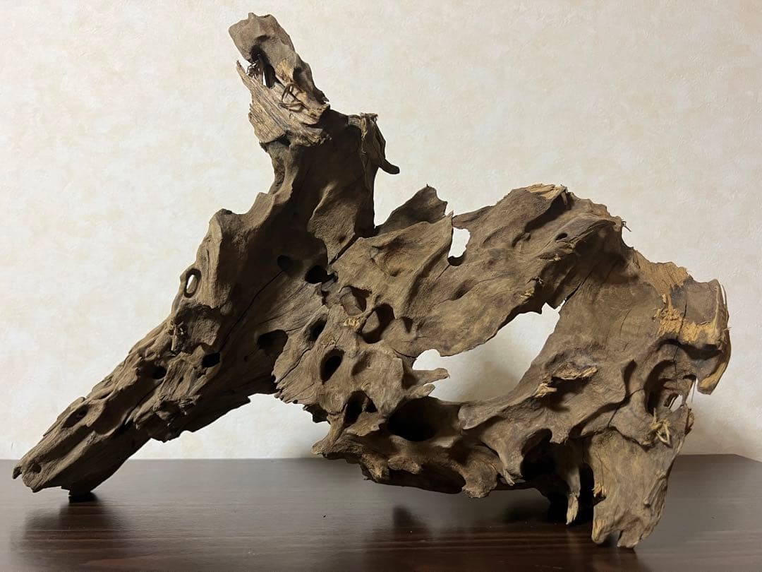 XM-198 流木　マシンガンウッド　アクアリウム　ブランチウッド　沈水確認済