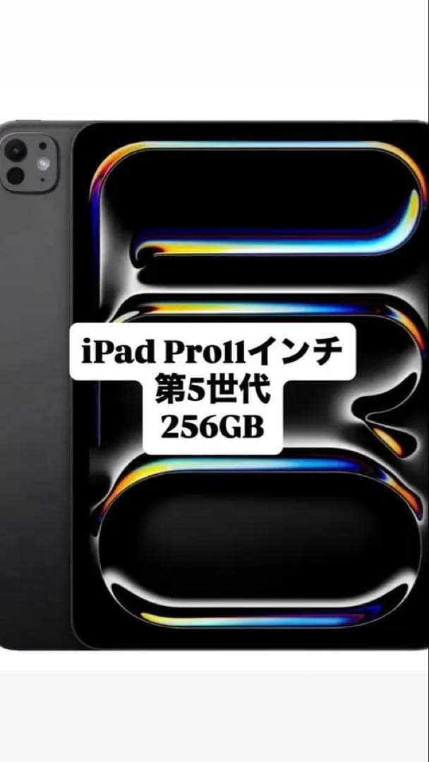 iPad Pro 11インチ 第5世代 M4チップ 2024年モデル