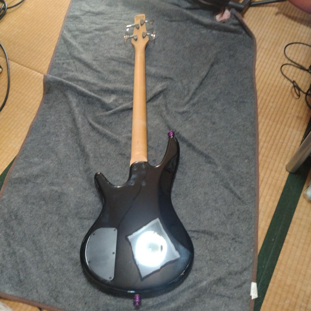 最終価格アイバニーズ gioシリーズ N427