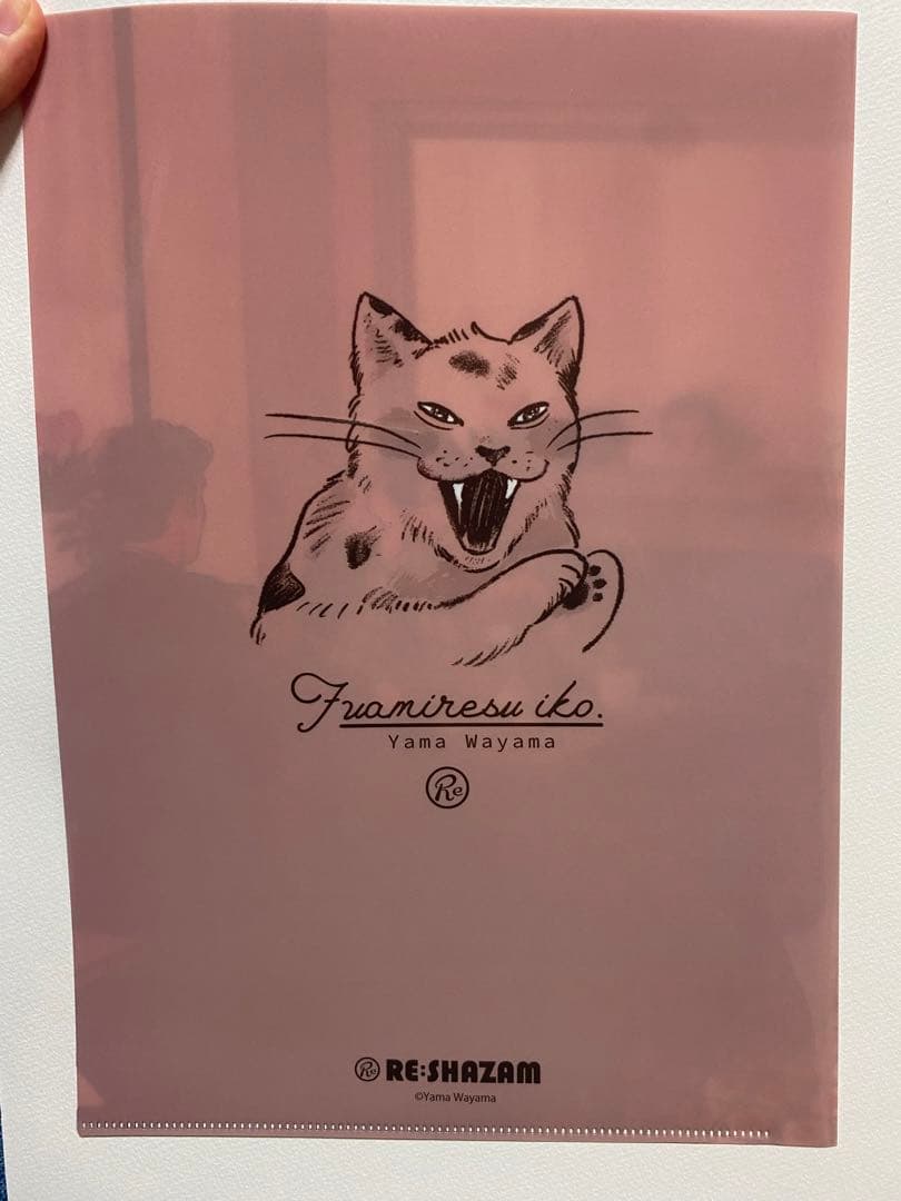 クリアファイル5枚+バースデー冊子×10枚+アニメイラストカード1枚