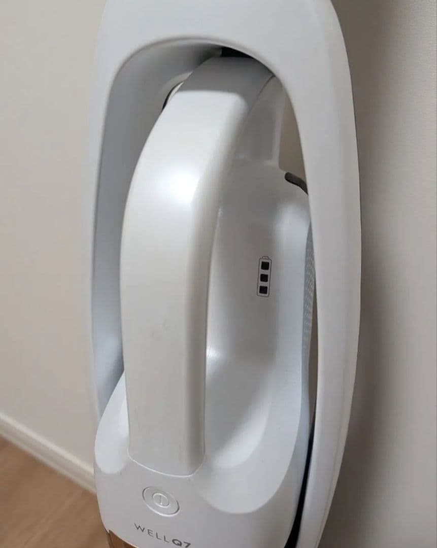 エレクロトラックス コードレスクリーナー Well Q7