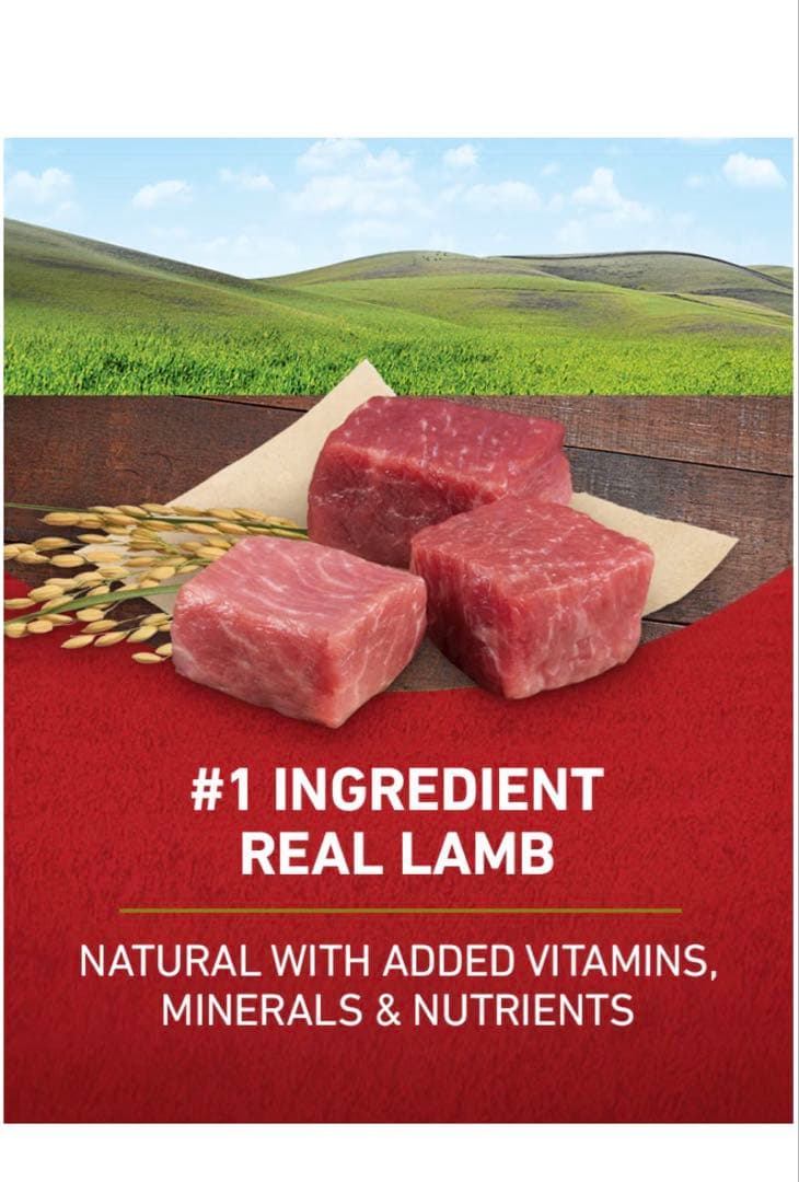 purina one グレインフリー