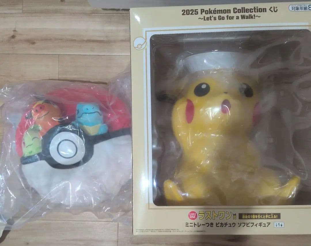 2025 Pokémon Collection ピカチュウ