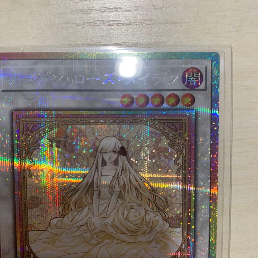 遊戯王 ガーデン・ローズ・メイデン　プリズマ　プリシク　絵違い