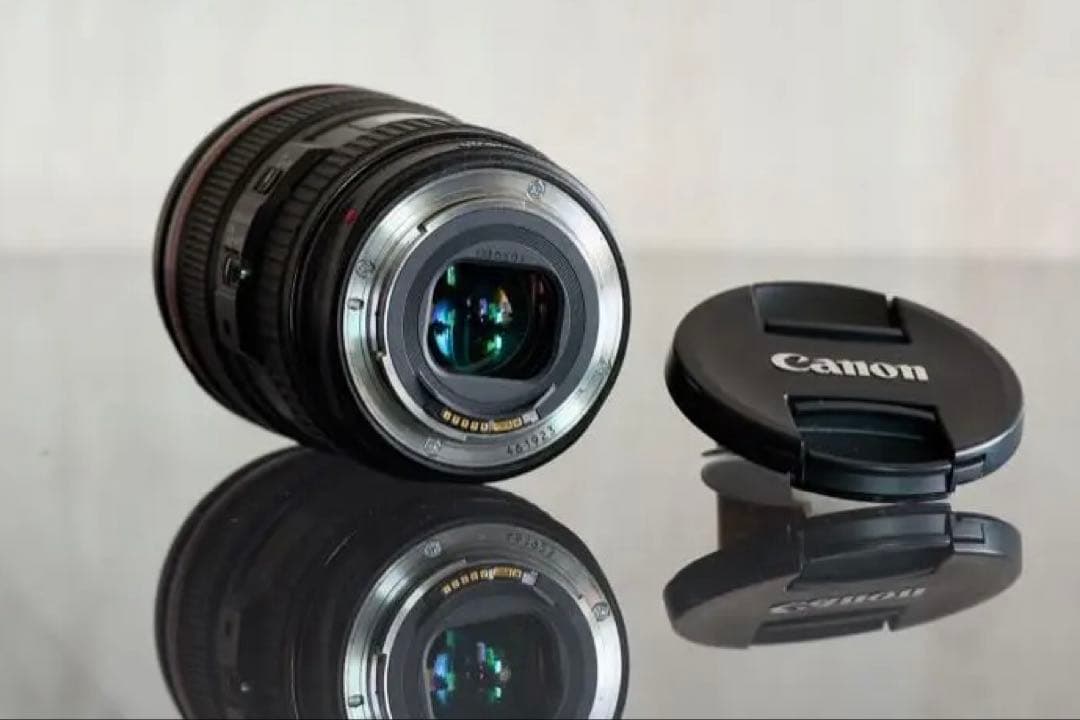 <ざわさん専用> CanonのEF 24-105mm f/4L IS USM