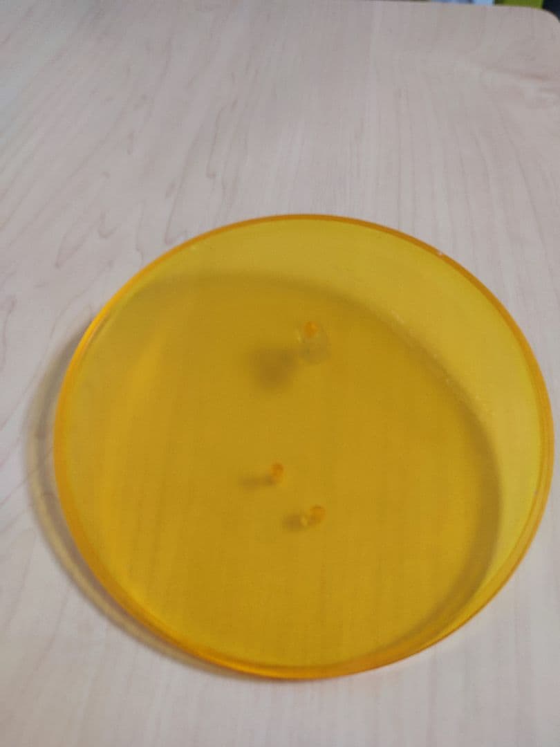 鏡音リン 『リンちゃんなう！』大人リンVer.