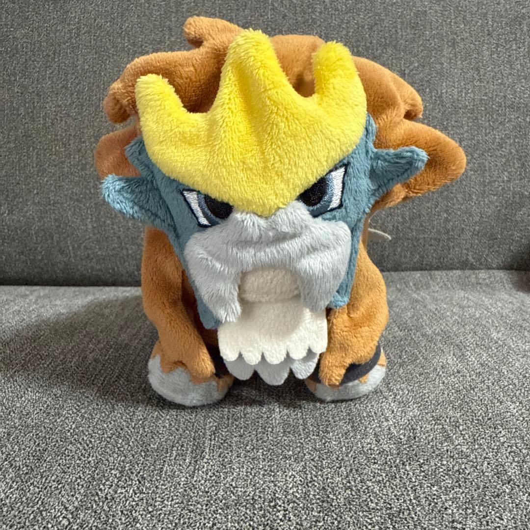 ポケドール　エンテイ　色違い　2010年限定品