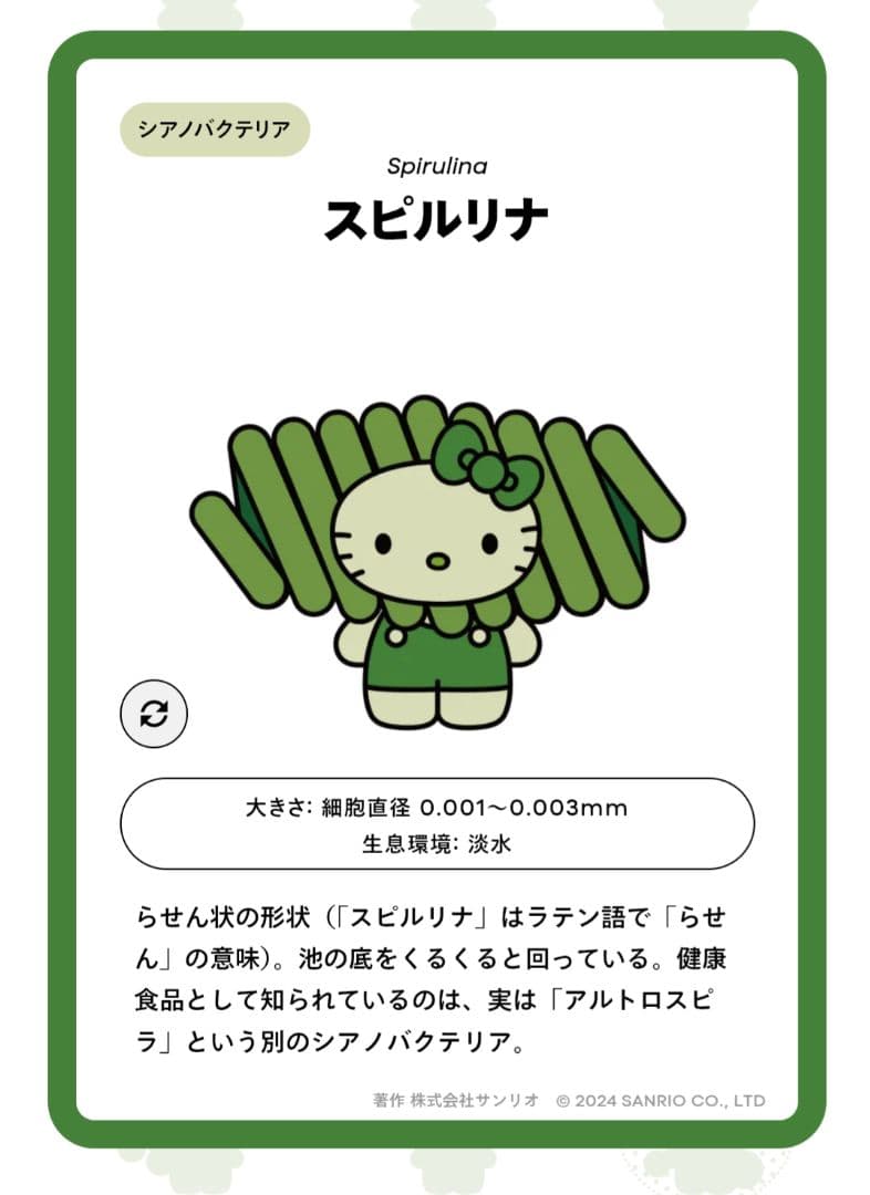 【まとめ売り】万博ハローキティ 藻ピンバッジ 4点セット