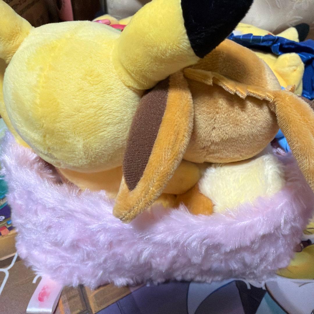 ぬいぐるみ シーズン ピカチュウ　イーブイ 冬　マンスリーピカチュウ　まとめ売り