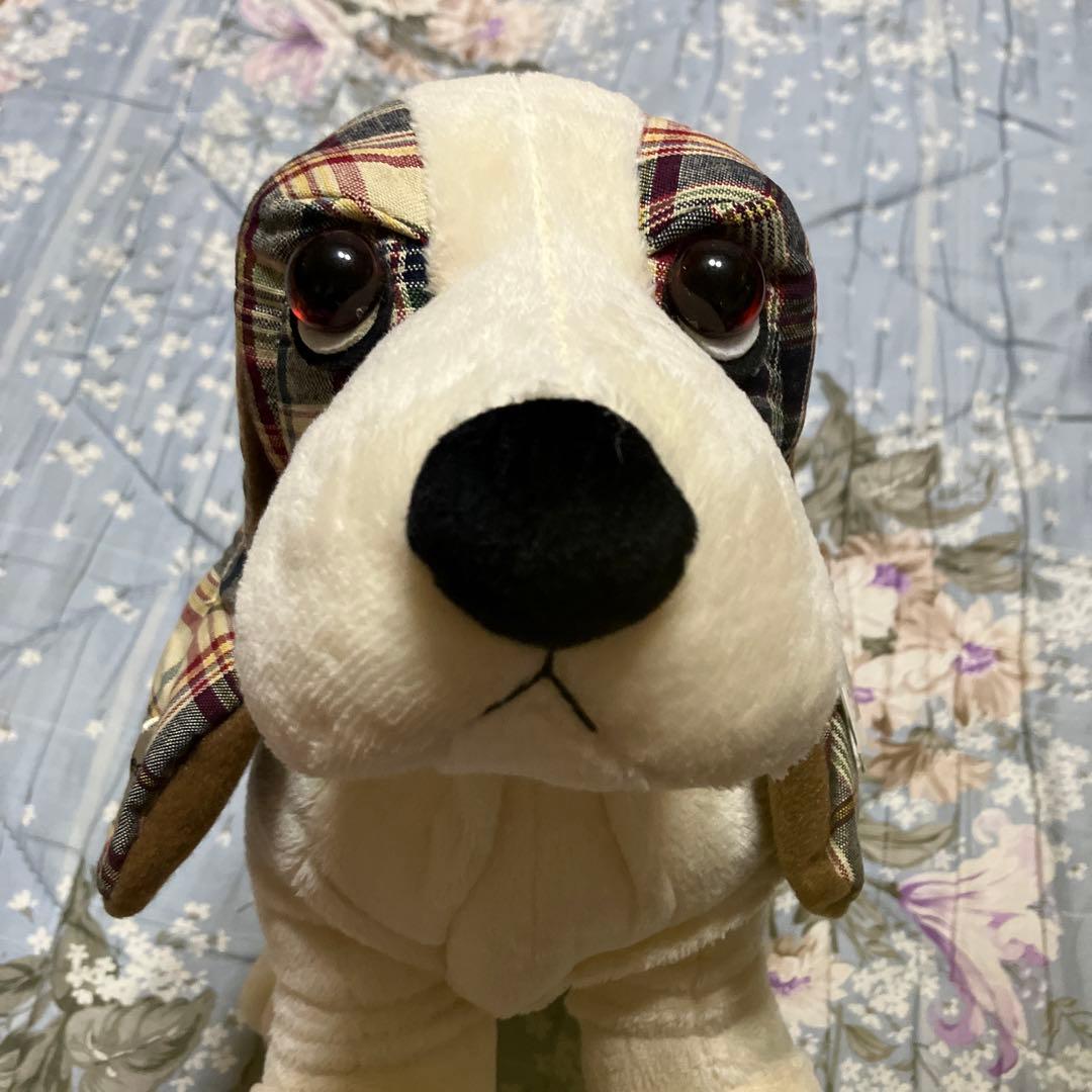 ハッシュパピー　ぬいぐるみセット