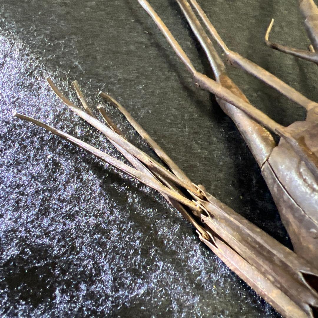 時代　明珍在銘鉄製自在伊勢海老木箱付全長約36㎝/134g東Y7-1205☆1F