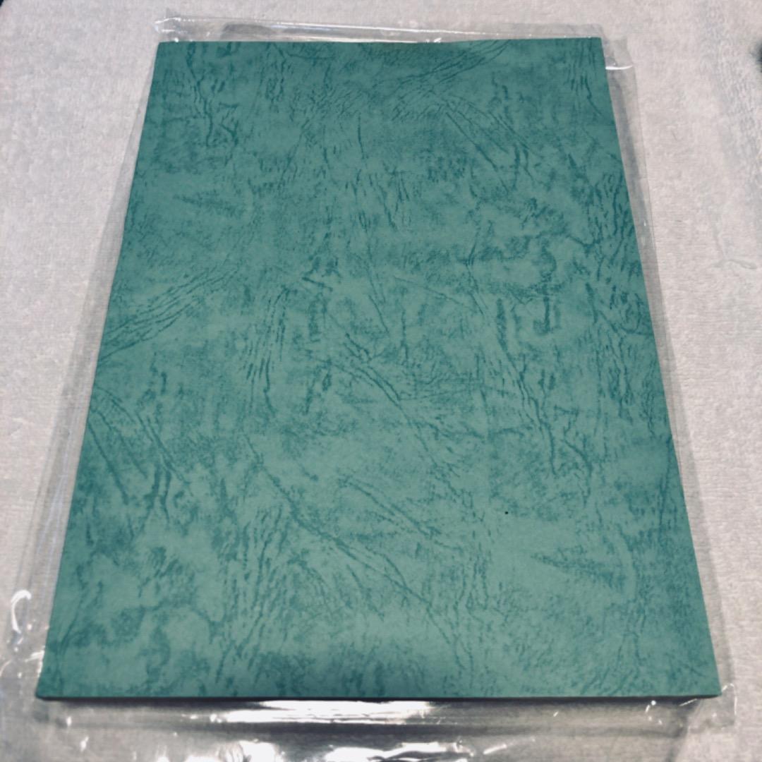 ドラゴンボールZ 台本 2冊 最強への道 1 2 東映アニメフェア