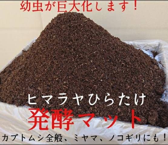 幼虫が巨大化！ヒマラヤひらたけ発酵カブトムシマット☆100リットル　産卵にも抜群