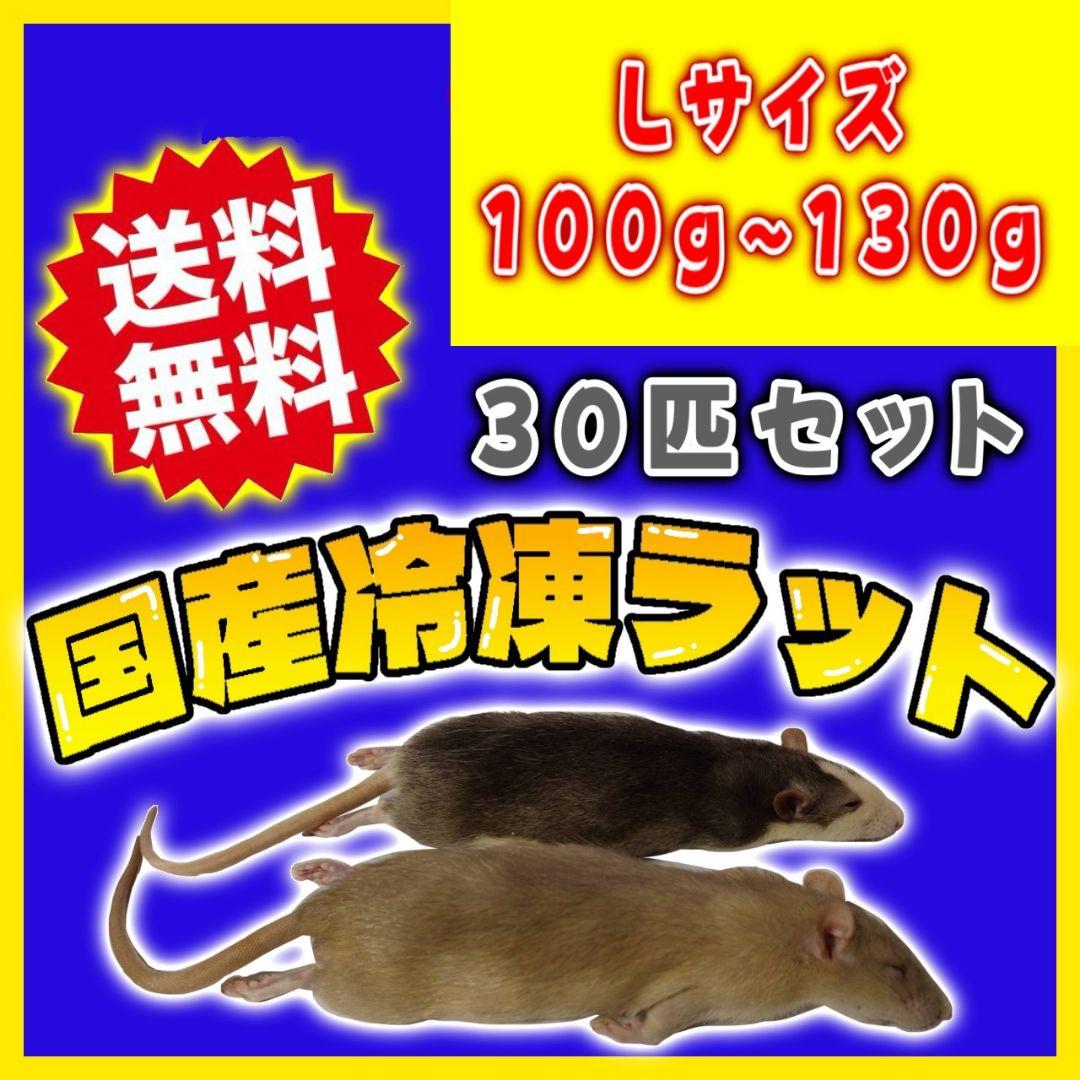 限定セール 冷凍ラット 30匹セット 100~130g