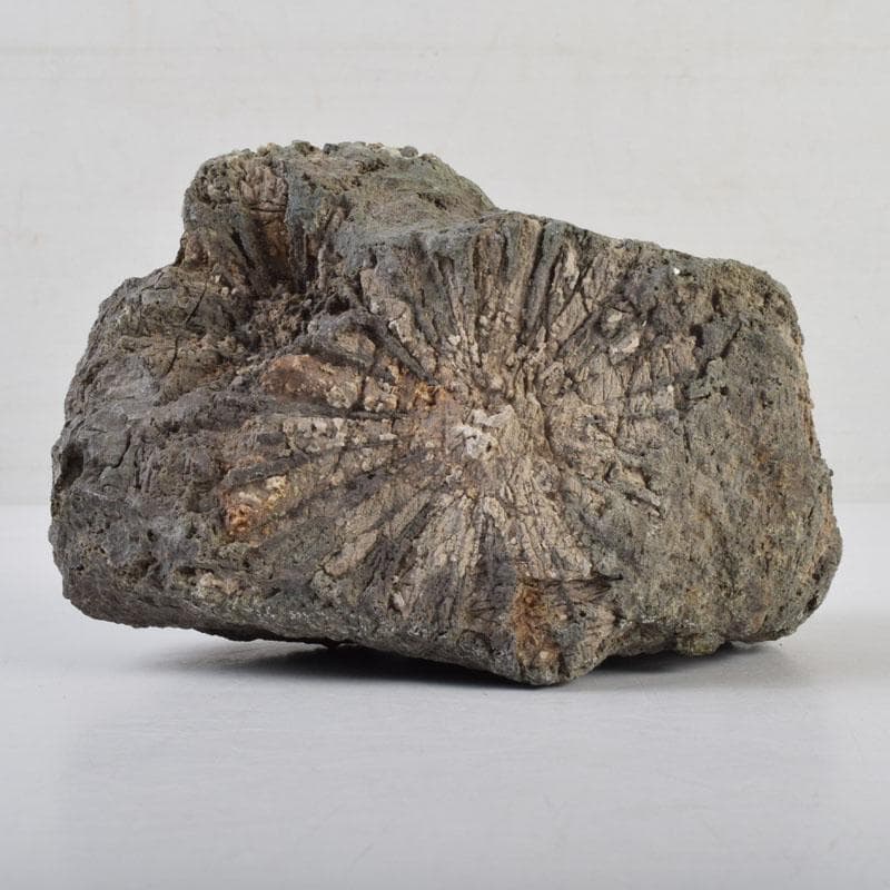 天然石　鑑賞石　菊花石　置物　重さ約1929g　C　8881