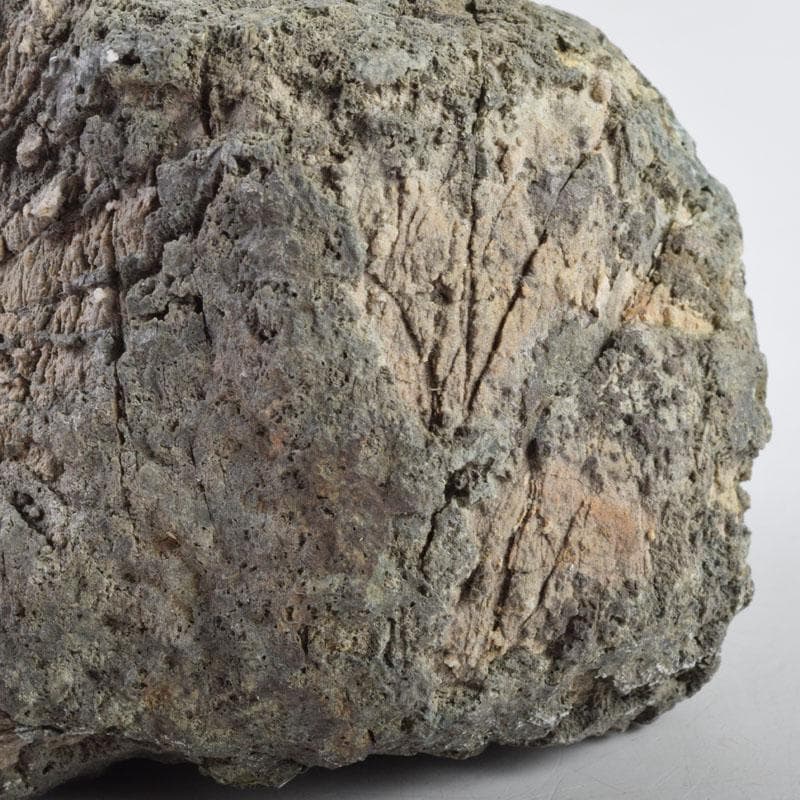 天然石　鑑賞石　菊花石　置物　重さ約1929g　C　8881