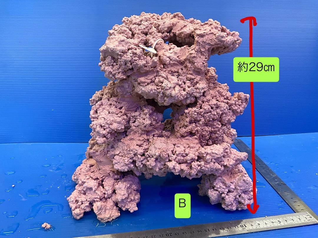 人工ライブロック　No.15 アク抜き済