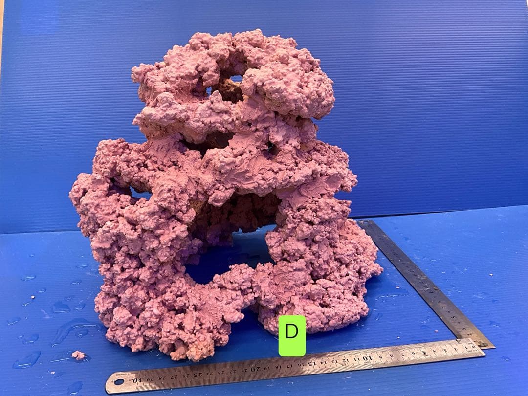 人工ライブロック　No.15 アク抜き済