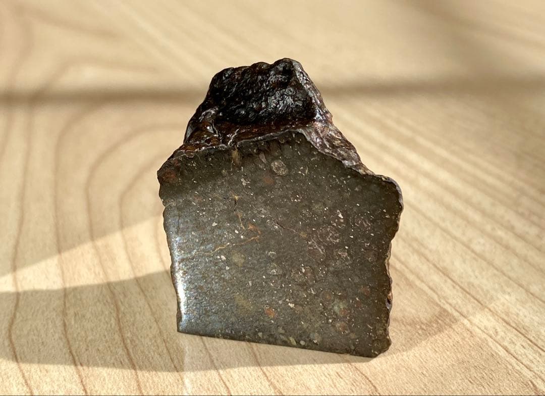 CVred3 炭素質 隕石 31.4g NWA12590 メテオライト 標本