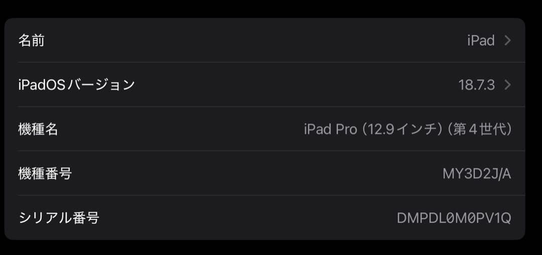 iPad pro 12.9 第4世代 cellular 最大容量98%