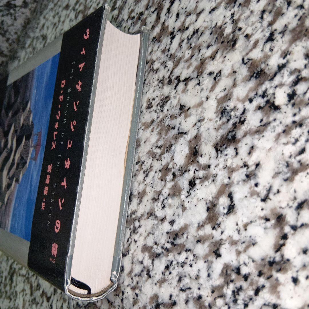 ヴィトゲンシュタインの箒　ウォレス　宮崎尊　絶版希少　除籍本　講談社　人気　本