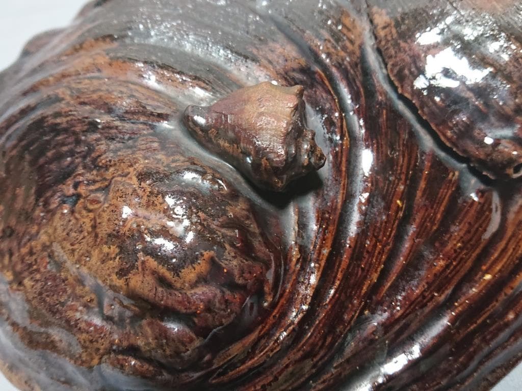 47　旧家蔵出し　茶道具　古高取　鮑型　鉢