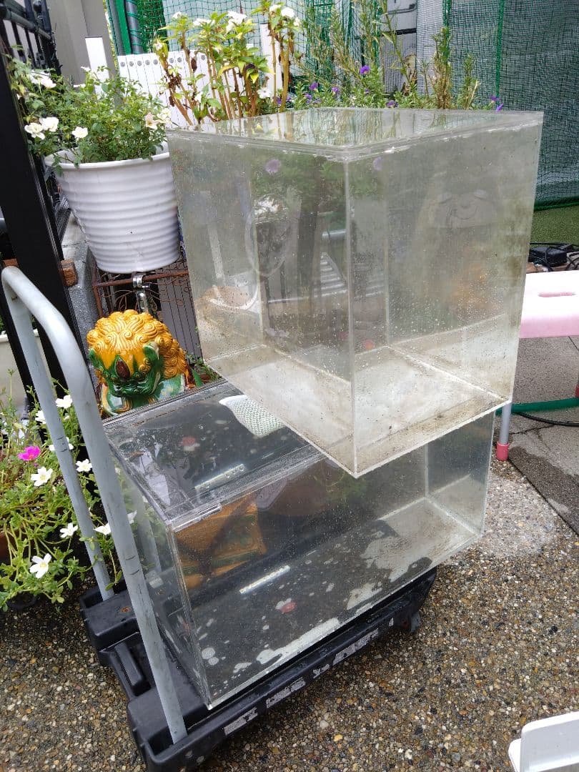 愛知県岩倉市お引き取り限定☆アクリル水槽2台☆