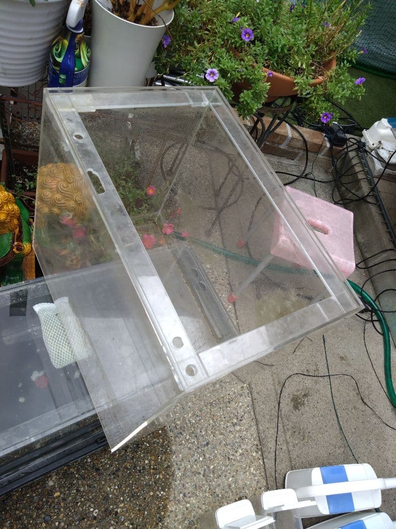 愛知県岩倉市お引き取り限定☆アクリル水槽2台☆