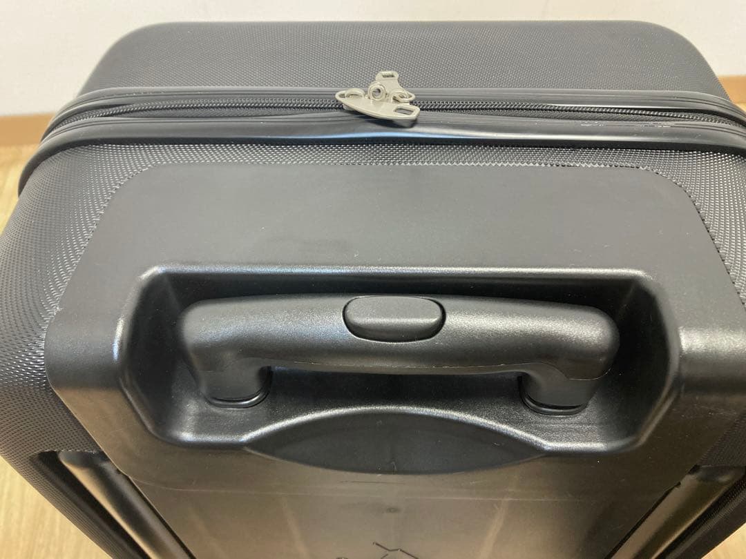 mountain buggy 子供が乗れるキャリーバッグ