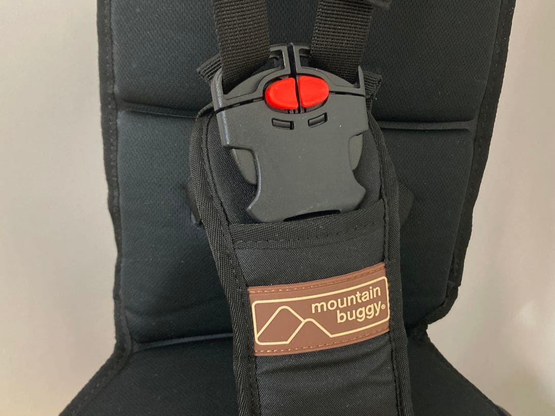 mountain buggy 子供が乗れるキャリーバッグ