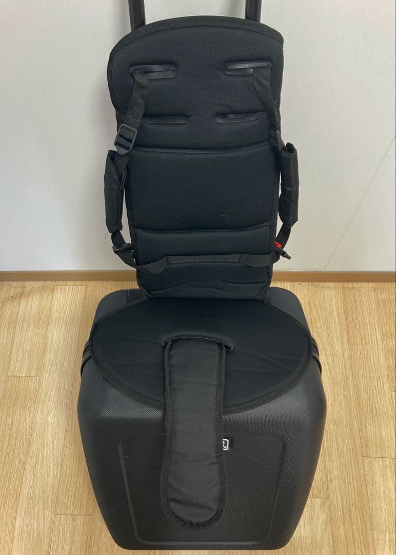 mountain buggy 子供が乗れるキャリーバッグ