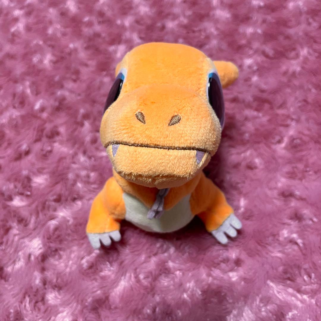 ピタッとリザードン pokemon time ぬいぐるみ