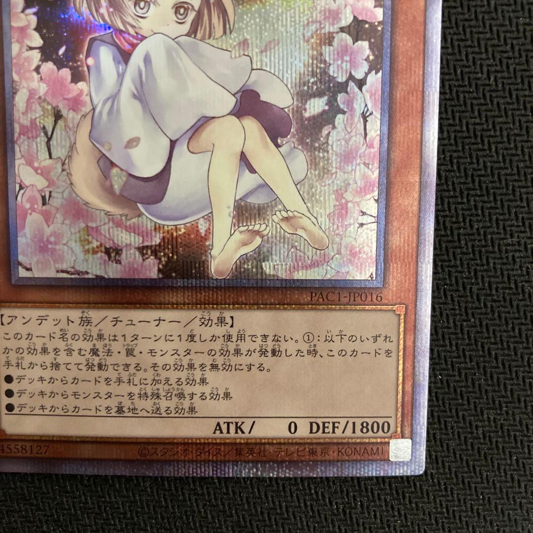 遊戯王　汎用娘　　絵違い　プリズマ　プリシク　4枚セット