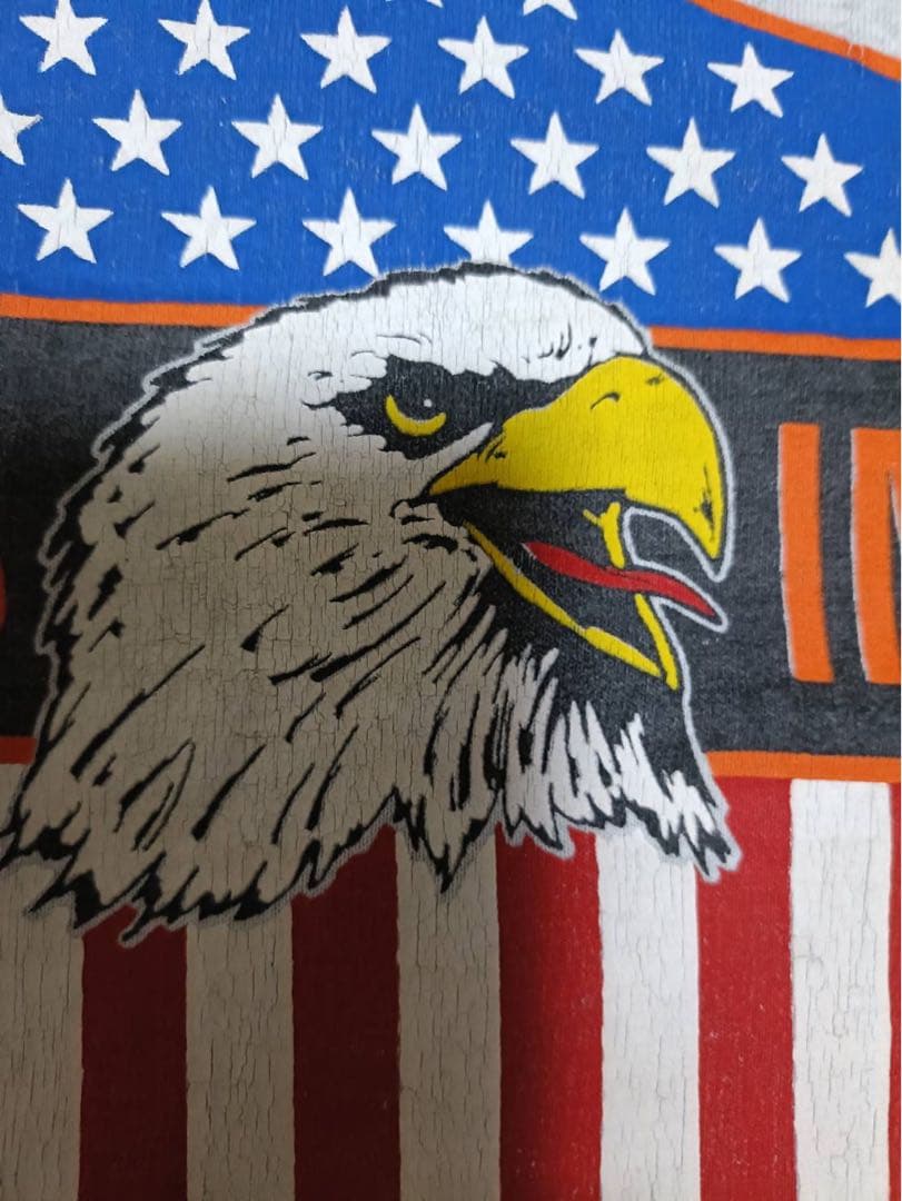 【L】©️1987-Harley-DavidsonT_USA製_ウィング_フロリダ