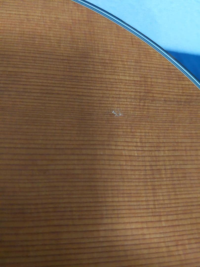 Morris SR-701 アコースティックギター